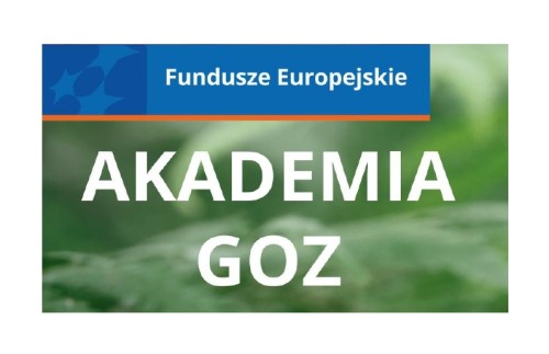 Projekt Akademia GOZ | spotkanie on-line