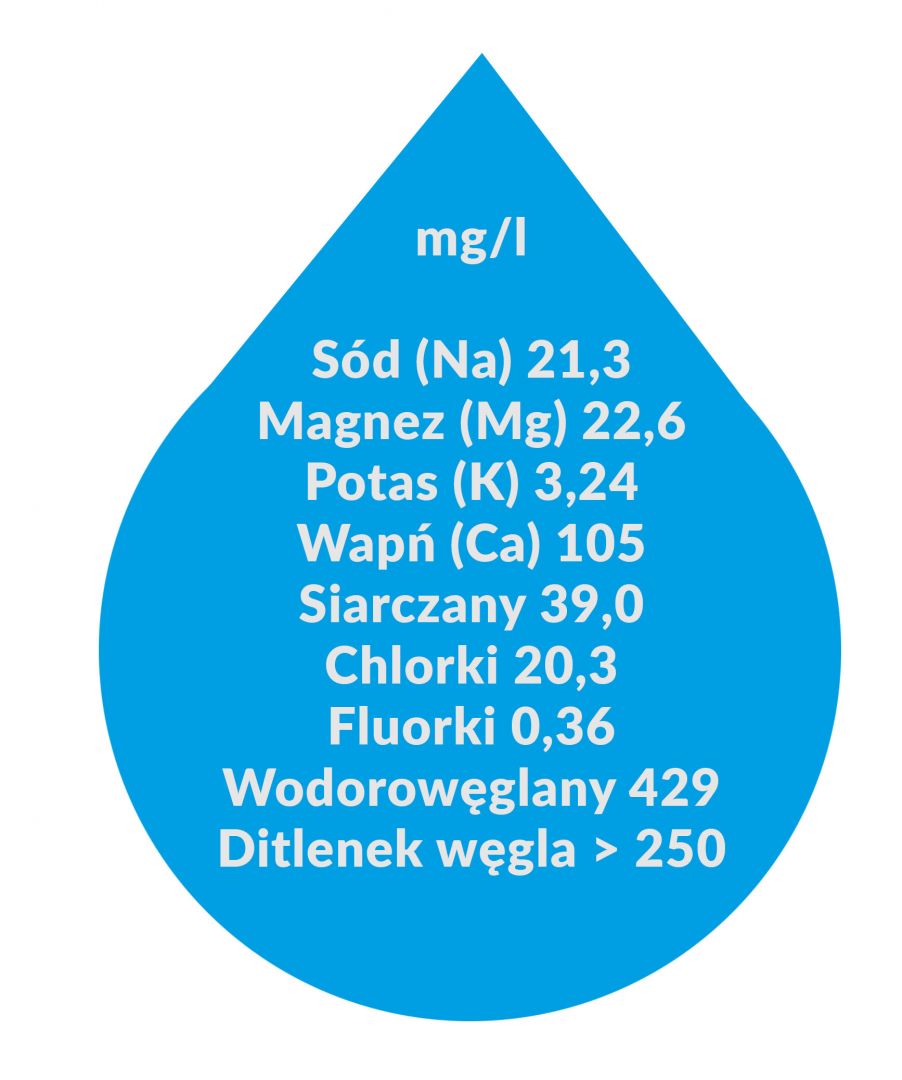 mg/l S&oacute;d (Na) 21,3 Magnez (Mg) 22,6 Potas (K) 3,24 Wapń (Ca) 105 Siarczany 39,0 Chlorki 20,3 Fluorki 0,36 Wodorowęglany 429 Ditlenek węgla > 250
